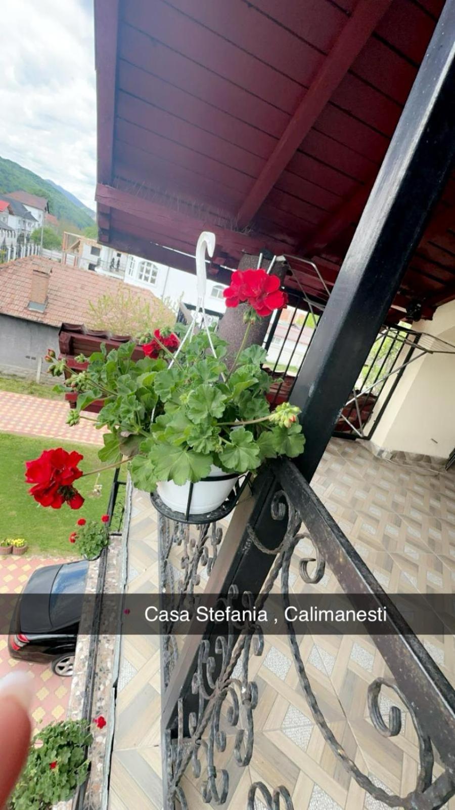 Casa Stefania 1 Apartamento Călimăneşti Exterior foto